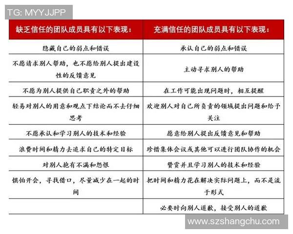 广州羽毛球队团队协作引发热议争议背后的默契与挑战分析